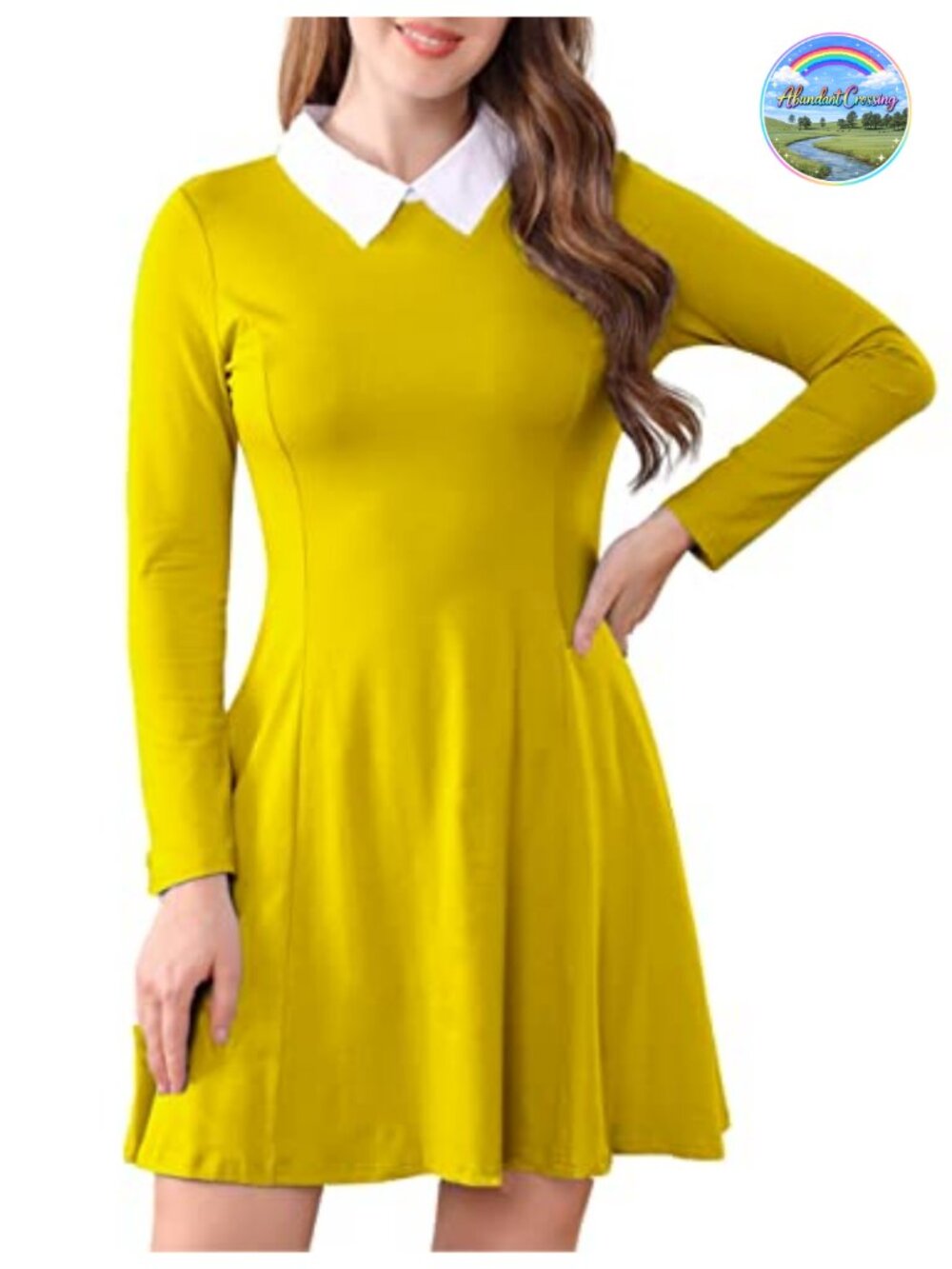 Women's Long Sleeve Peter Pan Collar Fit & Flare Dress